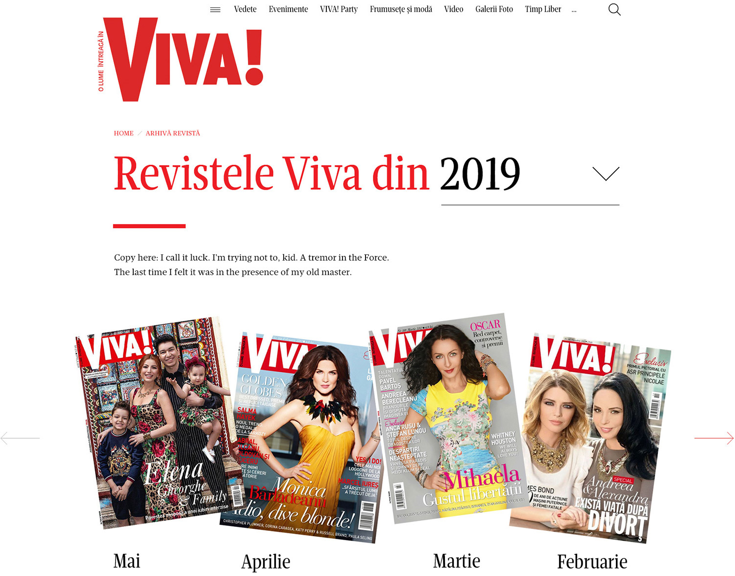 magazine_issue_archive_layout_design