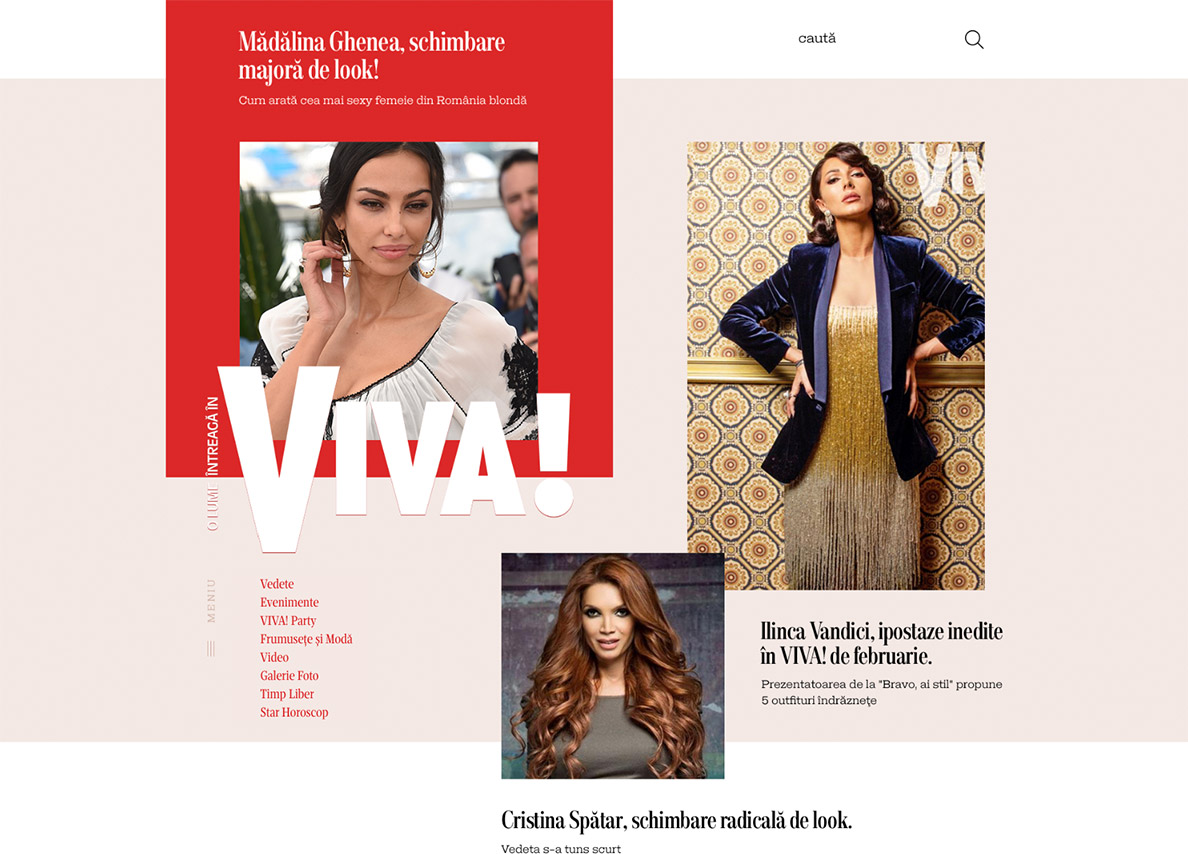 viva_homepage_vip_magazine